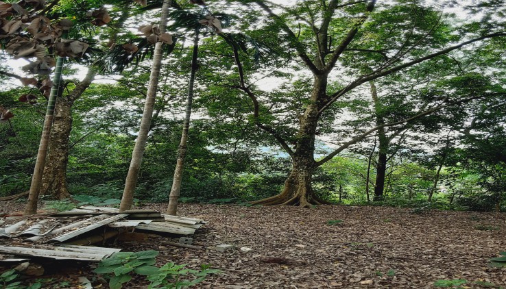 Bán đấtl tiến sơn lương sơn 3274m2, view cao thoáng, xe 29 chỗ vào được, cách Hà Nội 45km.