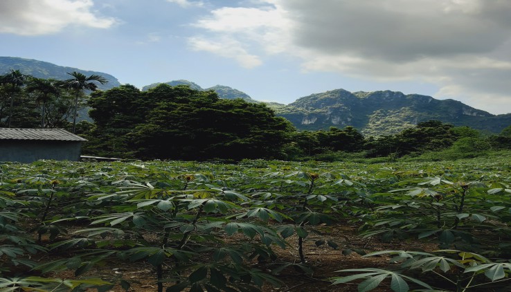 Bán đất tiến sơn lương sơn 2800m2 thế đất cao thoáng,view núi đá, cách đường liên xã 50m,xe 29 chỗ vào.