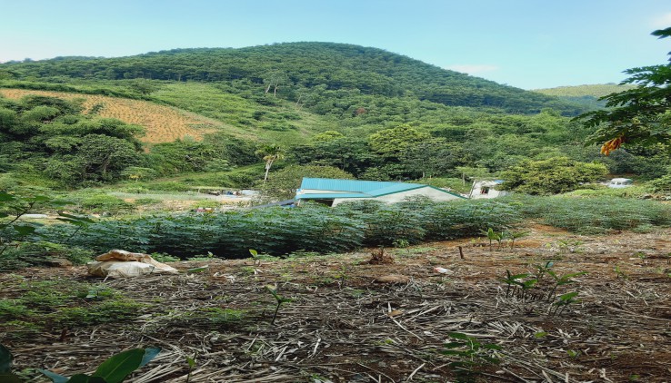Bán đấtl tiến sơn lương sơn 3274m2, view cao thoáng, xe 29 chỗ vào được, cách Hà Nội 45km.