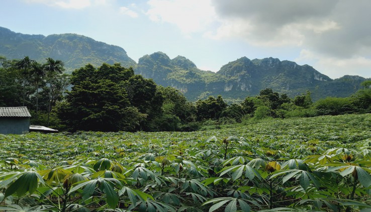 Bán đất tiến sơn lương sơn 2800m2 thế đất cao thoáng,view núi đá, cách đường liên xã 50m,xe 29 chỗ vào.