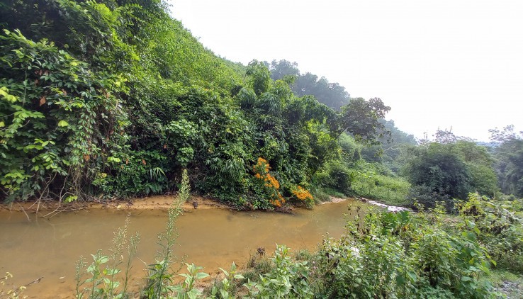 Cần chuyển nhượng 20 ha đất rừng sản xuất phù hợp làm trang trại du lịch khu trải nghiệm học sinh tại Lương Sơn Hòa Bình.
