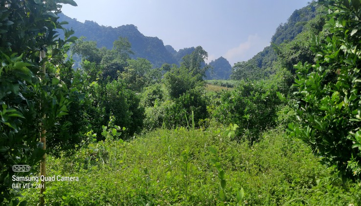 Bán nhanh 10780m tại Kim bôi View thoáng