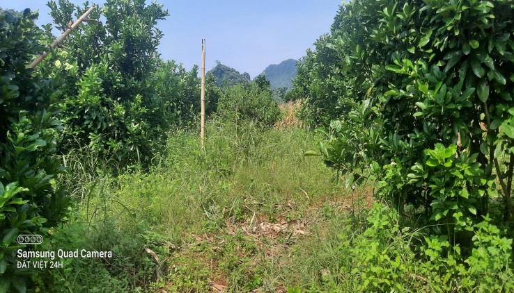 Chính chủ gửi bán hơn 1ha thổ cư và vườn tại Tú Sơn, Kim Bôi..