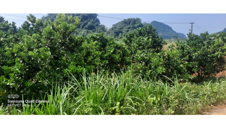 Chính chủ gửi bán hơn 1ha thổ cư và vườn tại Tú Sơn, Kim Bôi