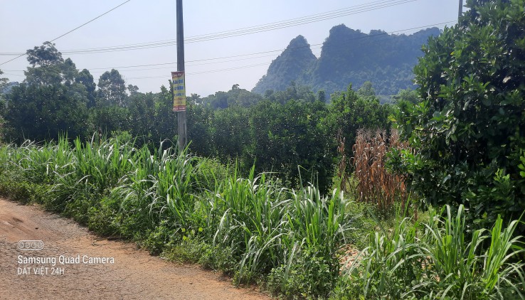 Chính chủ gửi bán hơn 1ha thổ cư và vườn tại Tú Sơn, Kim Bôi,