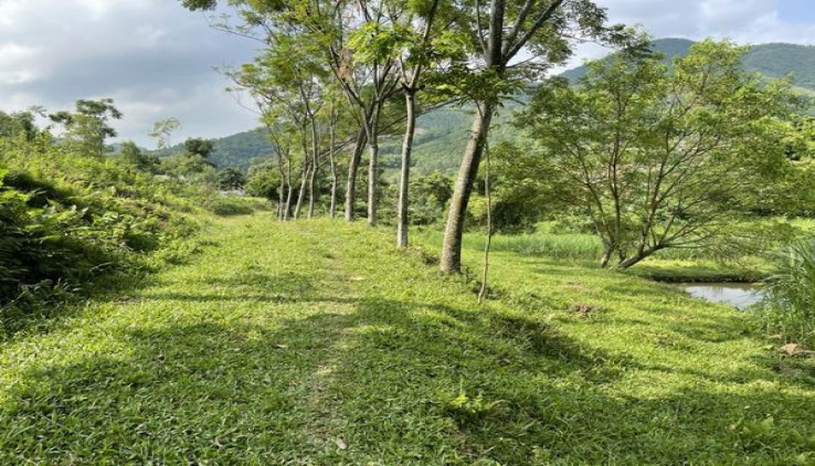 Bán đất Lương Sơn, Hòa Bình, 52000m có thổ cư, vườn,rsx, view thoáng phù hợp làm nghỉ dưỡng.
