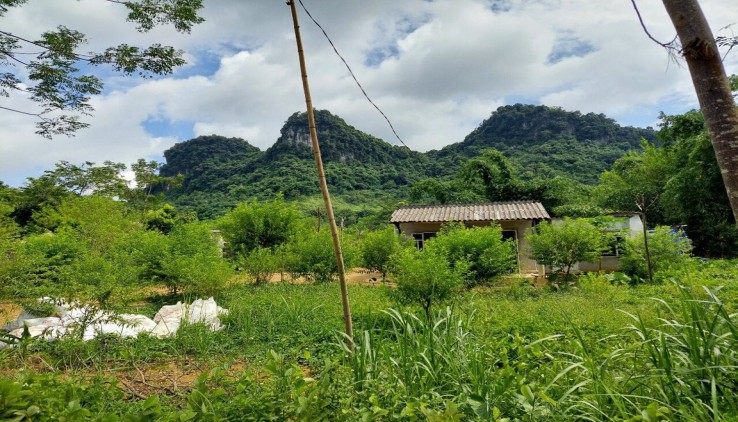 BÁN LÔ ĐẤT 1,2HA VIEW QUÁ NGHỈ DƯỠNG QUÁ DỈNH TẠI KIM BÔI