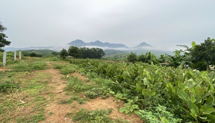 Bán đất ba vì view cực đẹp.cách hà nội chỉ 30km