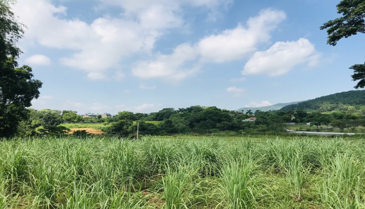 Cần bán gấp 1018m tại lương sơn view rất thoáng.