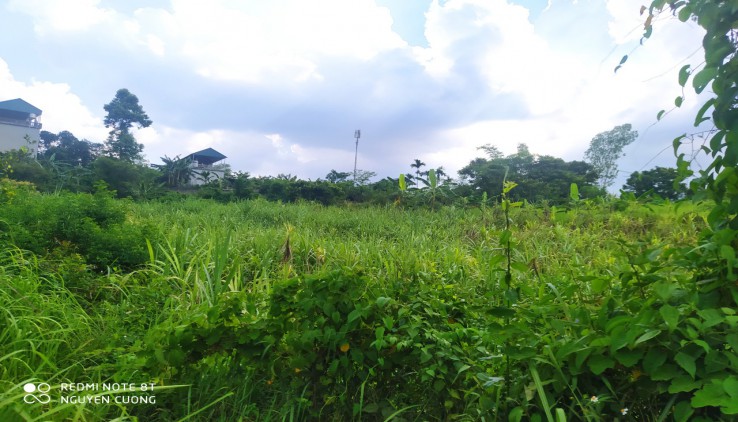 Lô đất 2000m2 full đất vườn tại Xuân Phong Cao Phong Hòa Bình giá đầu tư.