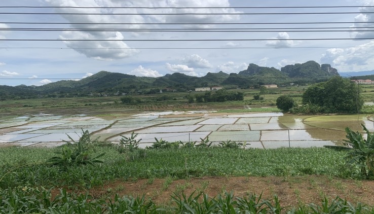 CẦN BÁN GẤP LÔ ĐẤT 3000M CÓ 1452M TRONG SỔ 400M THỔ CƯ 1052M ĐẤT VƯỜN, VIEW ĐỒNG CỰC ĐẸP, MT 40M