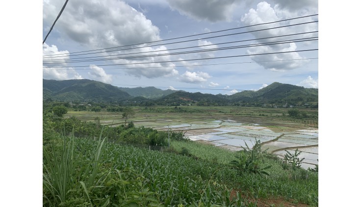 Bán nhanh 1452m ại Cao Phong . view cánh đồng