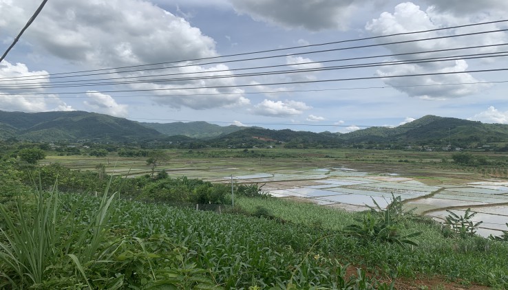 CẦN BÁN GẤP LÔ ĐẤT 3000M CÓ 1452M TRONG SỔ 400M THỔ CƯ 1052M ĐẤT VƯỜN, VIEW ĐỒNG CỰC ĐẸP, MT 40M