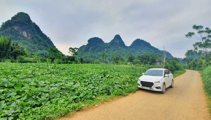 Bán nhanh mảnh đất view tuyệt đẹp tại huyện Kim Bôi Tp Hòa Bình