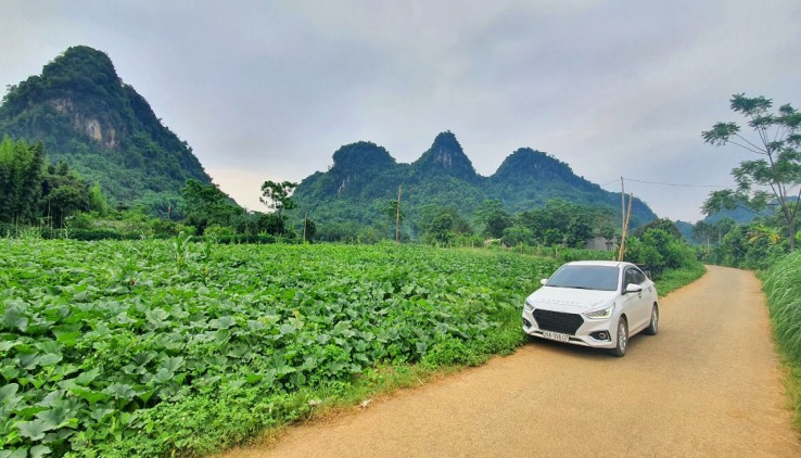 Bán nhanh khu đất view tuyệt đẹp tại Kim Bôi 3624m