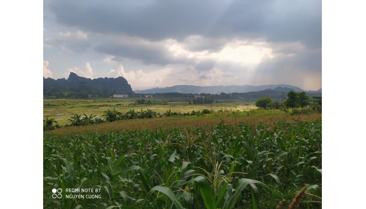 Chính chủ cần bán lô đất diện tích 3000m2 view cánh đồng tại Đông Phong Cao Phong Hòa Bình.