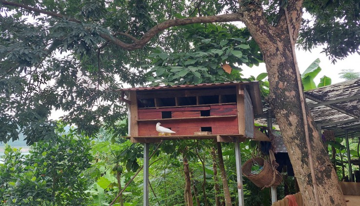 bán siêu phẩm bám lòng hồ sông đà duy nhất còn sót lại ngay tại thành phố HÒA BÌNH