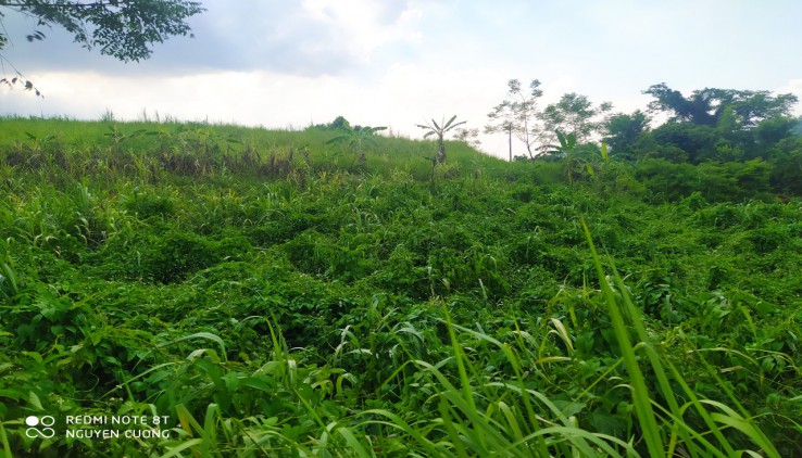 Bán nhanh e 2000m full vườn Cao Phong Giá rẻ view cánh đồng
