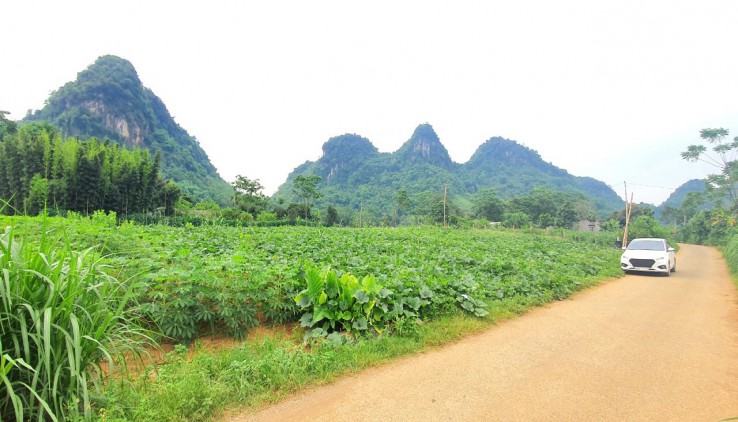 Bán nhanh khu đất view tuyệt đẹp tại Kim Bôi 3624m