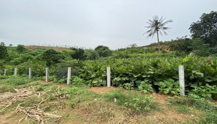 Bán đất ba vì view cực đẹp.cách hà nội chỉ 30km