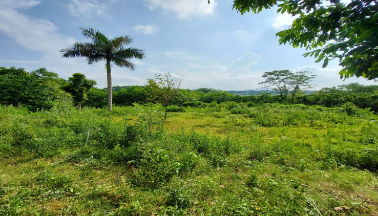 Bán đất lương sơn làm nghỉ dưỡng cách hà nội chỉ 36km