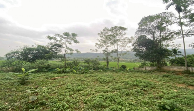 Bán đất ba vì 1900m thổ cư view cánh đồng cực đẹp.