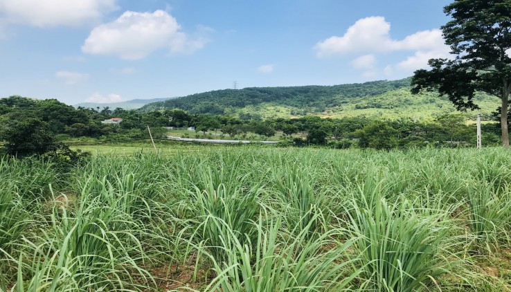 Chỉ hơn triệu mét bạn đã sở hữu ngay lô đất bám đường bê tông 40m 2 xe tránh nhau thoải mái.