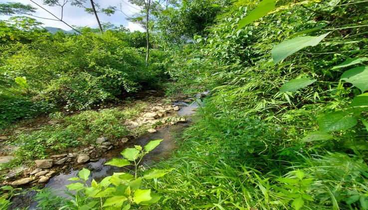 Bán đất lương sơn làm nghỉ dưỡng cách hà nội chỉ 36km