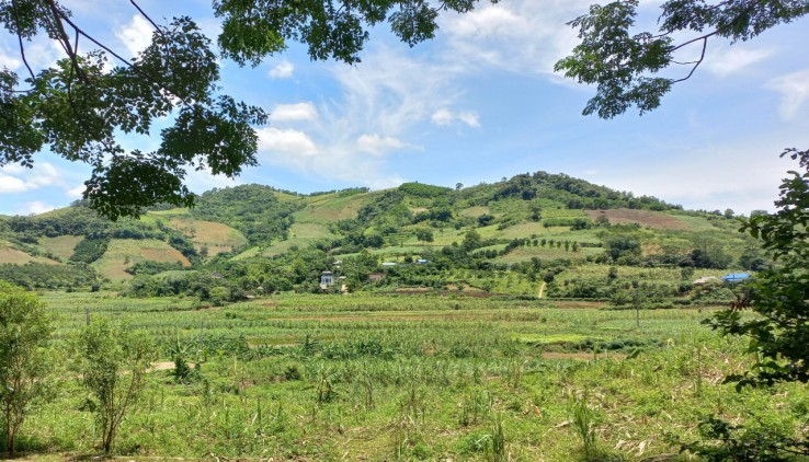 Bán 4344m2 Đất Tại Cao Phong View Bao La Cánh Đồng Thoáng Mát