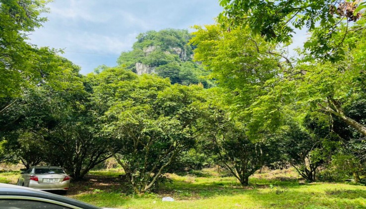 BÁN ĐẤT LƯƠNG SƠN 16000M LƯNG TỰA NÚI,VIEW SIÊU ĐẸP