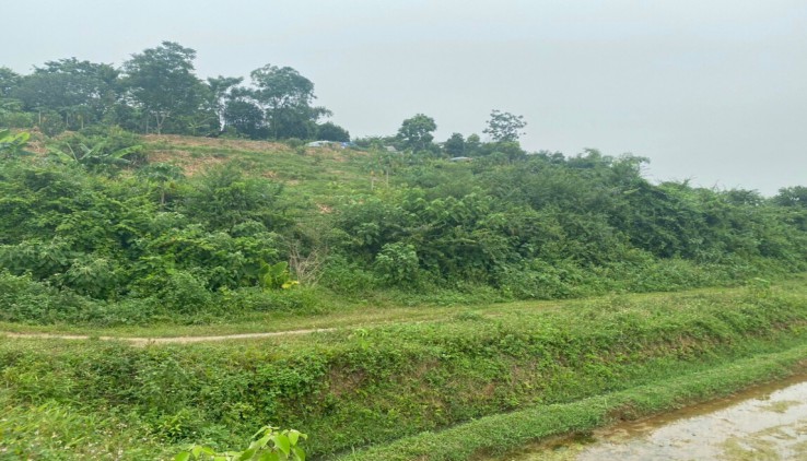 Đất 2 mặt tiền bám đường liên xã ,S= 2824m.400ont tại Thành Lập - Lương Sơn - Hoà Bình.