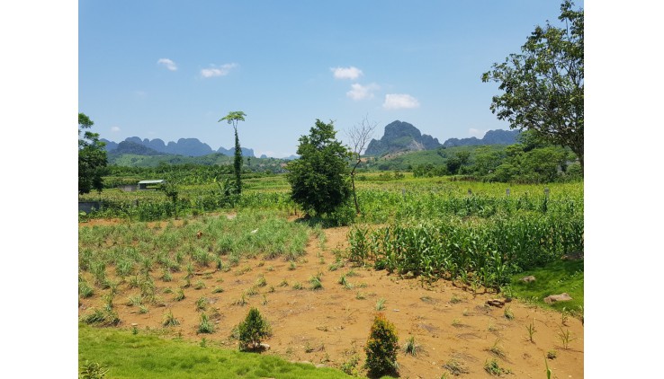 Cần bán 4067m tại hợp hoà lương sơn view tuyệt đẹp