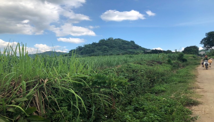 Chính chủ gửi bán 4200m đất thổ cư tại Cao Phong, Hoà Bình.