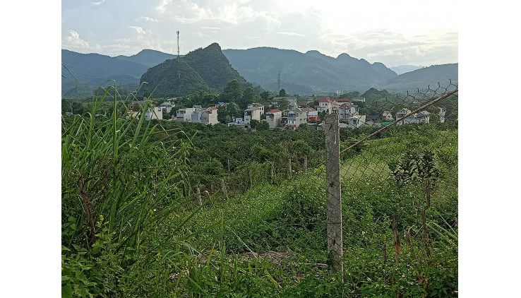 Gia đình  Cần bán thửa đất diện tích 4000m toàn bộ là đất trồng cây lâu năm tại TT Cao Phong