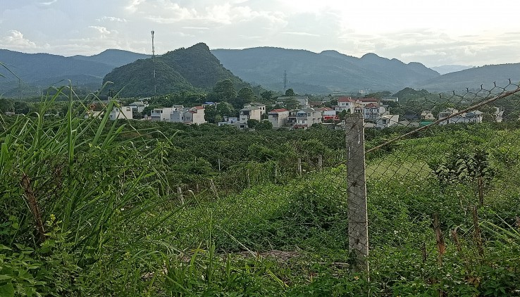 Cần bán 4000m đất vườn tại thị trấn Cao Phong - Hòa Bình giá rẻ