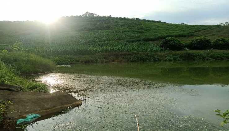 Cần bán 4000m đất vườn tại thị trấn Cao Phong - Hòa Bình giá rẻ