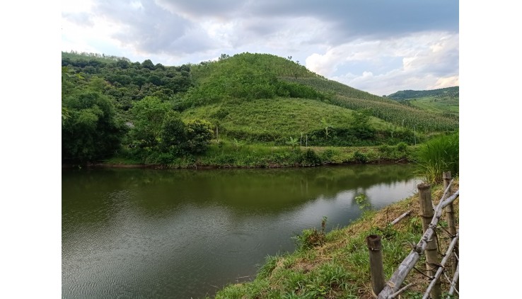 Cần bán mảnh đất 5338m tại cao phong