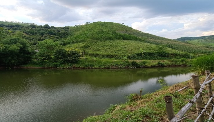 Cần bán mảnh đất đẹp tại Cao Phong với giá vài trăm triệu