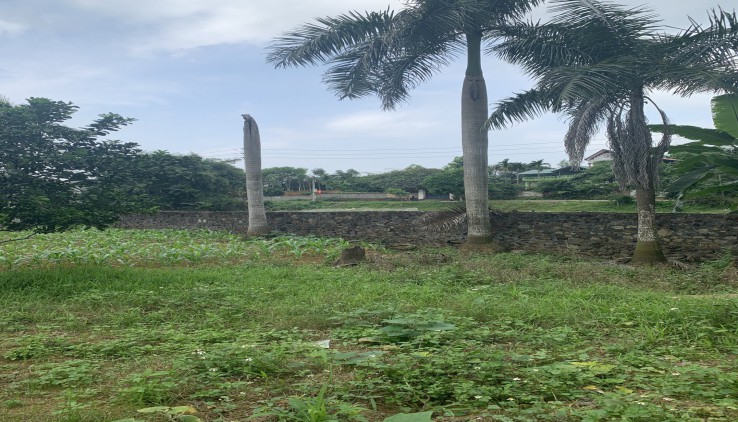 Chính chủ cần bán gấp 1440m2 đất thổ cư nhà vườn tại Đông Xuân Quốc Oai Hà Nội giá rẻ nhất