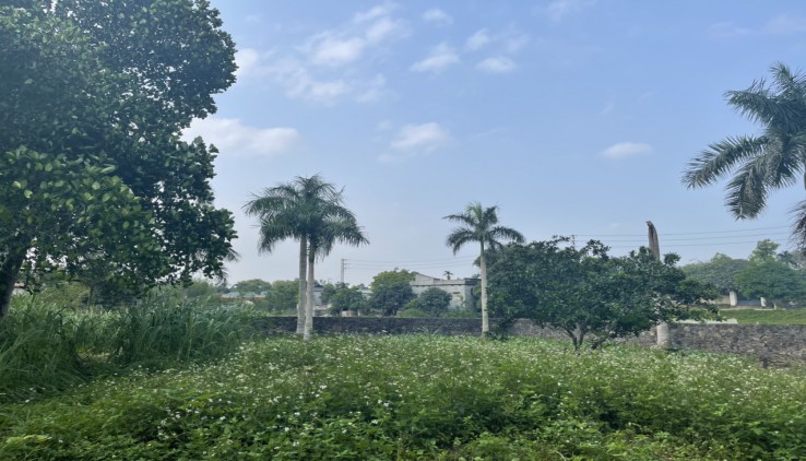 Chính chủ cần bán gấp 1440m2 đất thổ cư nhà vườn tại Đông Xuân Quốc Oai Hà Nội giá rẻ nhất