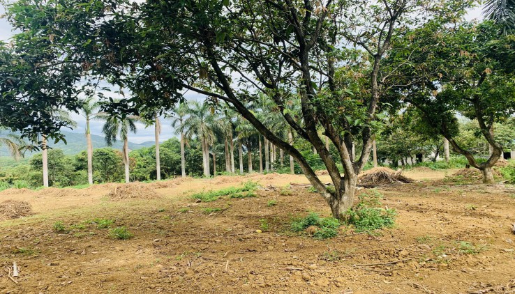 Cần chuyển nhượng 10400m đất thổ cư nghỉ dưỡng tại Lương Sơn, Hòa Bình