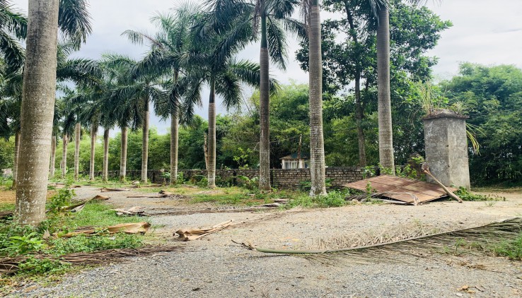 Cần chuyển nhượng 10400m đất thổ cư nghỉ dưỡng tại Lương Sơn, Hòa Bình
