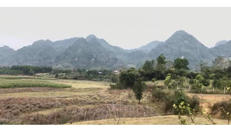 Bán nhanh mảnh đất full thổ cư tại Kim Bôi, Hòa Bình