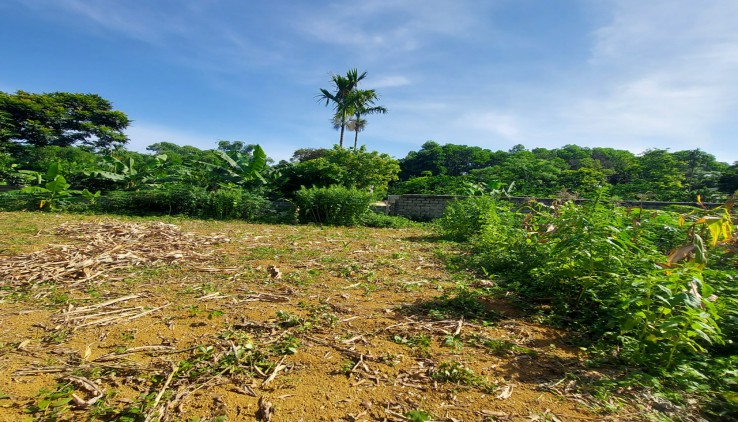 Bán đất Lương Sơn 1558m có 200m ont, thế đất bằng phẳng vuông vắn..