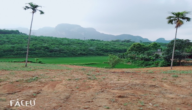 bán 2878 có 400 m đất ở view cánh đồng, núi non trùng điệp tại kim bôi.