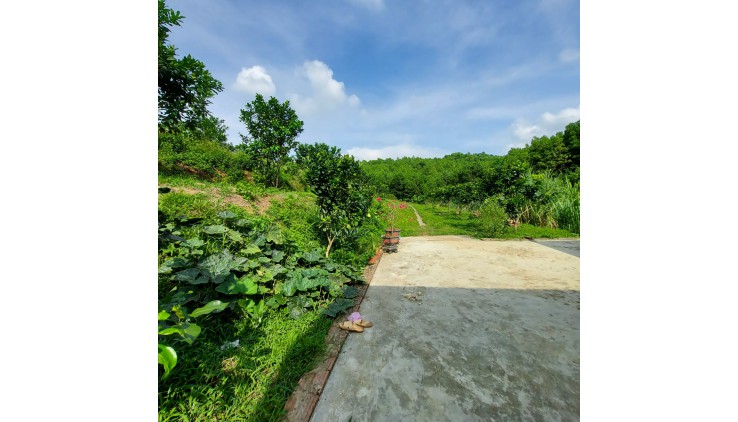 Bán lô đất nhà vườn giá rẻ tại Cao Dương Lương Sơn