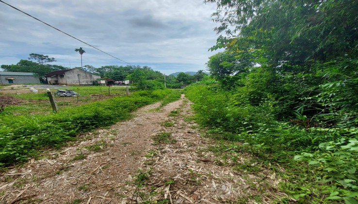 BÁN Nhanh lô đất 1000 m pun ont tại Long Sơn