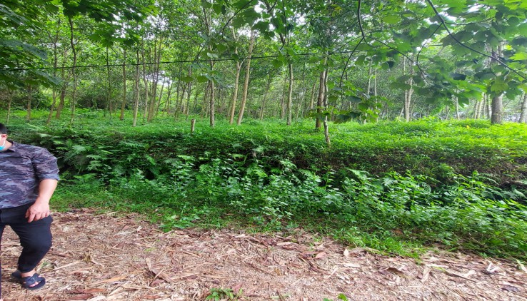 BÁN Nhanh lô đất 1000 m pun ont tại Long Sơn