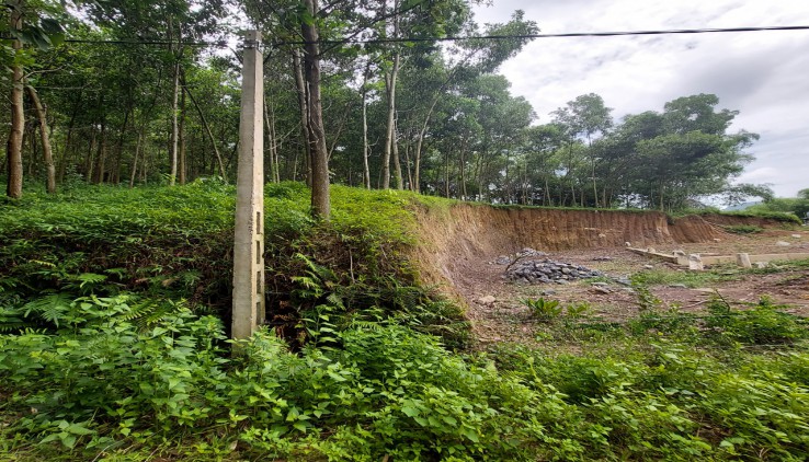 BÁN Nhanh lô đất 1000 m pun ont tại Long Sơn