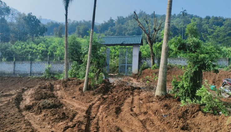 NẾU BỎ QUA BÀI VIẾT NÀY BẠN SẼ CẢM THẤY TIẾC CẢ ĐỜI CHO NHỮNG ANH CHỊ NÀO CẦN TÌM ĐẤT ĐẸP TẠI.